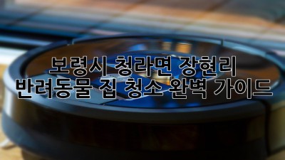 보령시 청라면 장현리 반려동물 집 청소 완벽 가이드