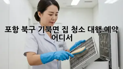 포항 북구 기북면 집 청소 대행 예약, 어디서?